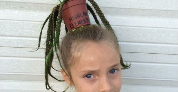 Easy Crazy Hairstyles for School 98 Best Images About Crazy Hair Day Ideas On Pinterest
