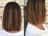 Easy Daily Hairstyles for Medium Length Hair Beautiful Blunt Bob Hair Ideas Popular Haircuts