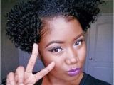 Easy Do It Yourself Natural Hairstyles Natural Hair Products 50 Black Hairstyles Gurus Reveal