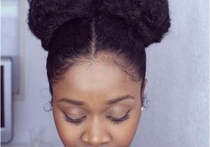 Easy Do It Yourself Natural Hairstyles Protective Styles High Bun Hairstyles and Twists On Pinterest