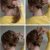 Easy French Roll Hairstyle Hairstyle How to Easy French Roll Hair Romance