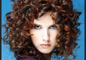 Easy Hairstyles for Short Curly Hair to Do at Home Lovable and Easy Hairstyles for Curly Hair to Do at Home