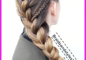 Easy Medieval Hairstyles Me Val Hairstyles Livesstar