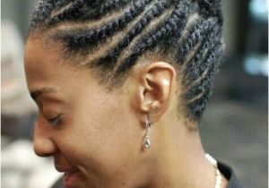 Easy Natural Hairstyles for Work Idée Coiffure Inspiration Flat Twists