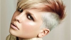 Easy to Do Punk Rock Hairstyles Short Punk Rock Hairstyles for Women Ragan S Hair