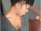 Easy Twist Hairstyles for Short Natural Hair 106 Best Natural Hair Mini Twists Images