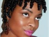 Easy Twist Hairstyles for Short Natural Hair 145 Best Two Strand Twists Images