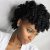 Easy Updo Hairstyles for Black Hair 15 Updo Hairstyles for Black Women who Love Style