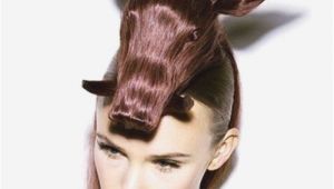 Easy Weird Hairstyles Easy Crazy Hairstyles