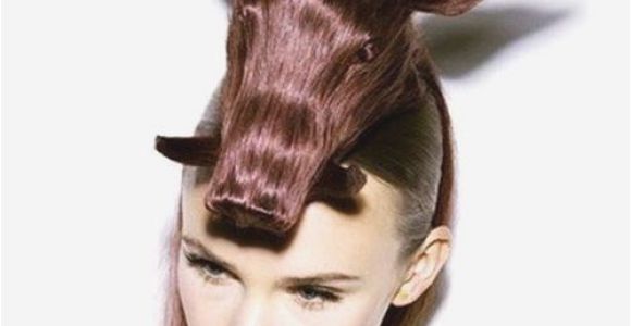 Easy Weird Hairstyles Easy Crazy Hairstyles