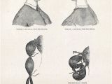 Elegant Victorian Hairstyles Easy Victorian Bun Pictorial Hair