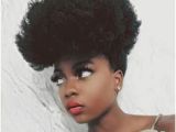 Everyday Hairstyles for Afro Hair 81 Best Natural Hair Styles Images