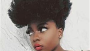 Everyday Hairstyles for Afro Hair 81 Best Natural Hair Styles Images