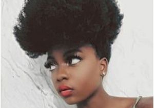 Everyday Hairstyles for Afro Hair 81 Best Natural Hair Styles Images