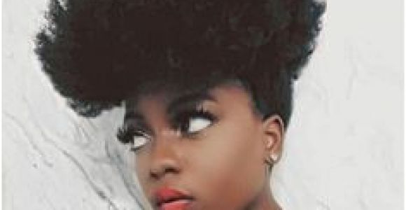 Everyday Hairstyles for Afro Hair 81 Best Natural Hair Styles Images