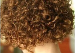 Everyday Hairstyles for Permed Hair 37 Best Perm Images