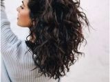 Everyday Hairstyles for Wavy Frizzy Hair 275 Best Wavy Hair Images