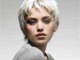 Female Short Hairstyles Pictures 16 Gray Short Hairstyles and Haircuts for Women 2017