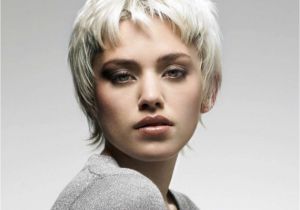 Female Short Hairstyles Pictures 16 Gray Short Hairstyles and Haircuts for Women 2017