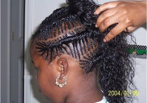 Fishbone Braids Hairstyles Pictures Fishbone Braids Hairstyles Hairstyles