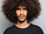 Fluffy Hairstyles Men 80 Trendy Black Men Hairstyles and Haircuts In 2018