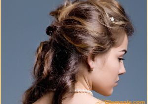 Formal French Braid Hairstyles French Braid Prom Hairstyles Hairstyle Hits Pictures