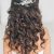 Formal Hairstyles Down and Curly 20 Down Hairstyles for Prom