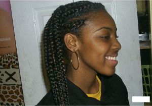 French Braid Hairstyles for African American Hair African French Braids Pictures
