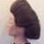 Gibson Girl Hairstyle Week 14 Gibson Girl Editorial Hairstyling Douglas J