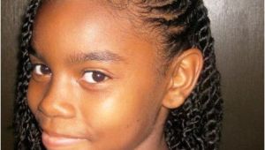 Girl Braided Hairstyles Pictures Black Girl Braids Hairstyles