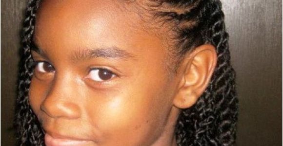 Girl Braided Hairstyles Pictures Black Girl Braids Hairstyles