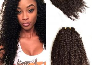 Glued In Weave Hairstyles Malaysian Human Hair Afro Kinky Curly Clip Ins Extension 4b 4c Kinky Curly Clip Ins for Black Women Fdshine Hair