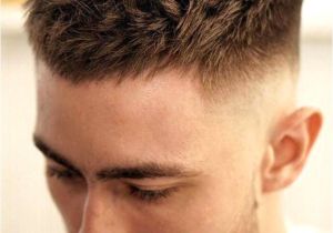Great Clips Hairstyles for Men Great Clips Hairstyles for Men Hairstyles