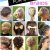 Gym Meet Hairstyles 260 Best Gymnastics Hairstyles Images On Pinterest In 2019