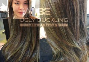 Hair Color 2019 for asian ash Green & ash Brown by Ugly Duckling