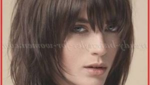 Hair Cuts Dark Brown Enormous Medium Hairstyle Bangs Shoulder Length Hairstyles with