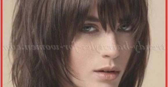 Hair Cuts Dark Brown Enormous Medium Hairstyle Bangs Shoulder Length Hairstyles with