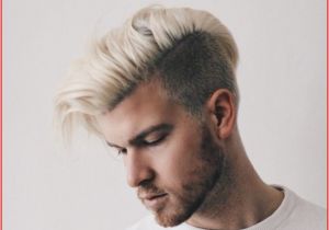 Hair Cuts Dark Brown Hairstyles for Men with Blonde Hair Long Blonde and Brown