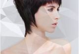 Hair Cutting Zone 70 Best Creative Haircut Tutorials On Myhairdressers Images