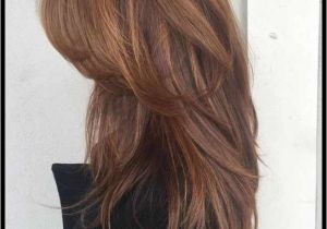 Haircut for Long Hair 2019 18 Luxury Hairstyle Color Ideas for Long Hair
