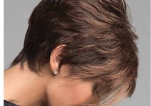 Haircuts Lake Zurich New Hair Stylist Inspirational Amusing Fall Hair Stylist as for