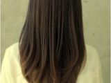 Haircuts U Shape I Have Described This Haircut to Every Hairdresser I Ve Used for the