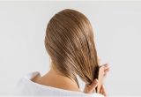 Hairstyles after Applying Oil This is why Your Hair S Greasy and What You Can Do About It