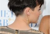 Hairstyles and attitudes Ginnifer Goodwin Back Short Hair Fun and Playful Short Haircut