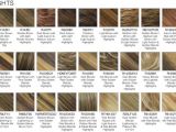 Hairstyles Auburn Highlights Hair Colour Ideas with Amusing Medium Blonde Hair Media Cache Ec0