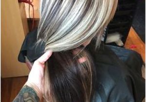 Hairstyles Blonde with Dark Underneath 322 Best Under Colored Hair Images On Pinterest In 2019