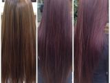 Hairstyles Burgundy Highlights Burgundy Hairstyles with Highlights Burgundy Wine Hair Color Best