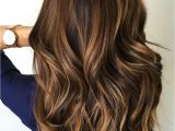 Hairstyles Color and Highlights 2019 60 Hairstyles Featuring Dark Brown Hair with Highlights In 2019