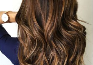 Hairstyles Color and Highlights 2019 60 Hairstyles Featuring Dark Brown Hair with Highlights In 2019