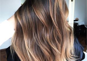 Hairstyles Color and Highlights 2019 60 Hairstyles Featuring Dark Brown Hair with Highlights In 2019